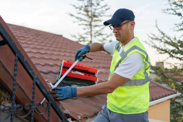 Best Wall Insulation Installation  in Andrews, SC